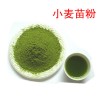 供应 优质 小麦苗粉  厂家OEM代加工