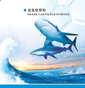 供应 优质 鲨鱼软骨粉  厂家OEM代加工