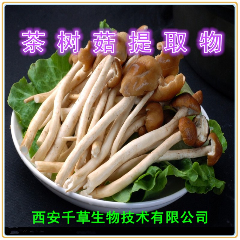 茶树菇提取物