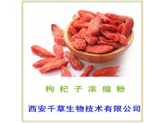 枸杞子提纯粉