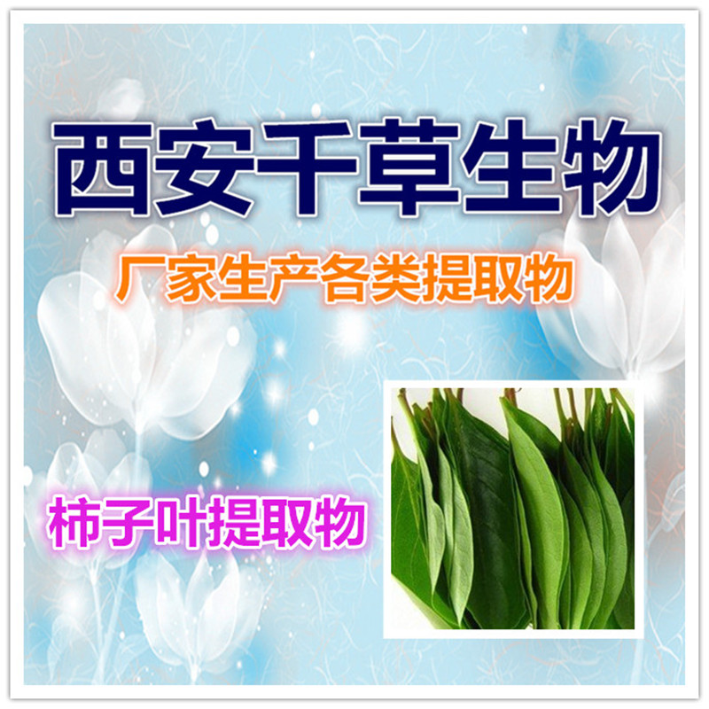 柿子叶提取物0_副本