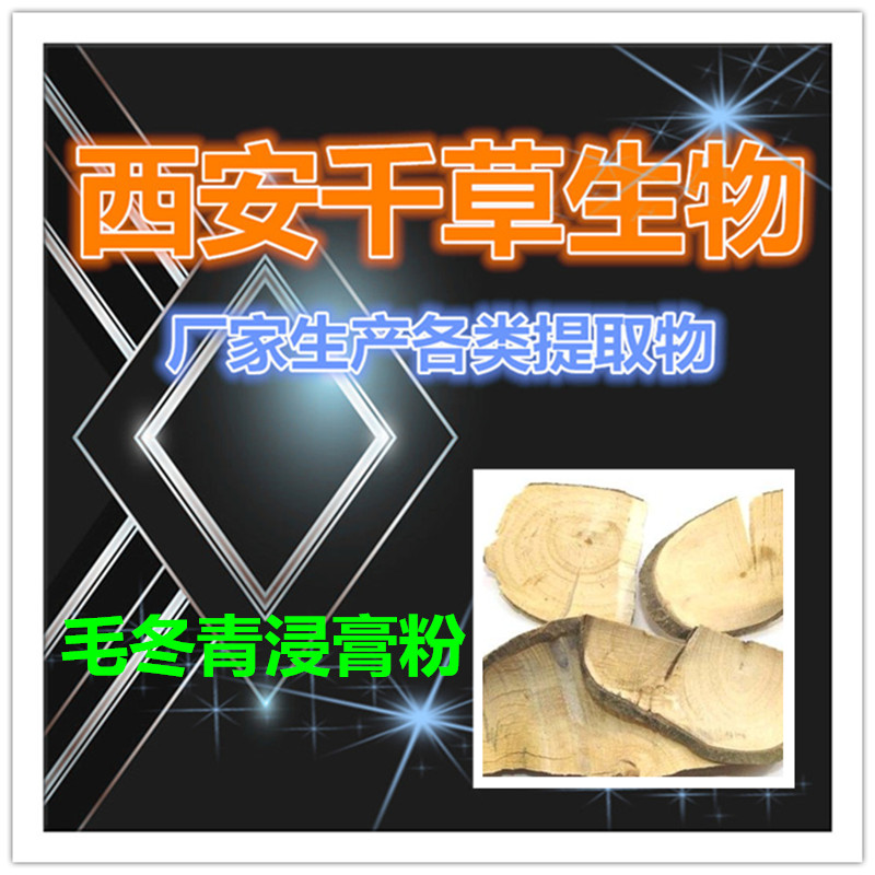 毛冬青浸膏粉