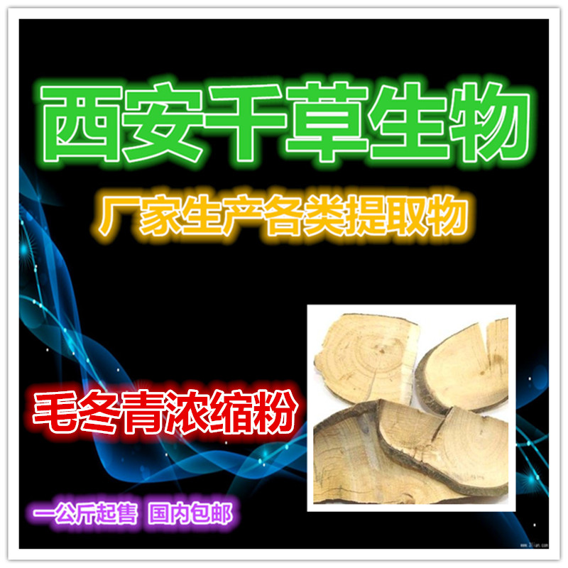 毛冬青浓缩粉