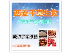 【纯天然酸梅子浸膏粉】【药食同源】厂家生产 现货热销