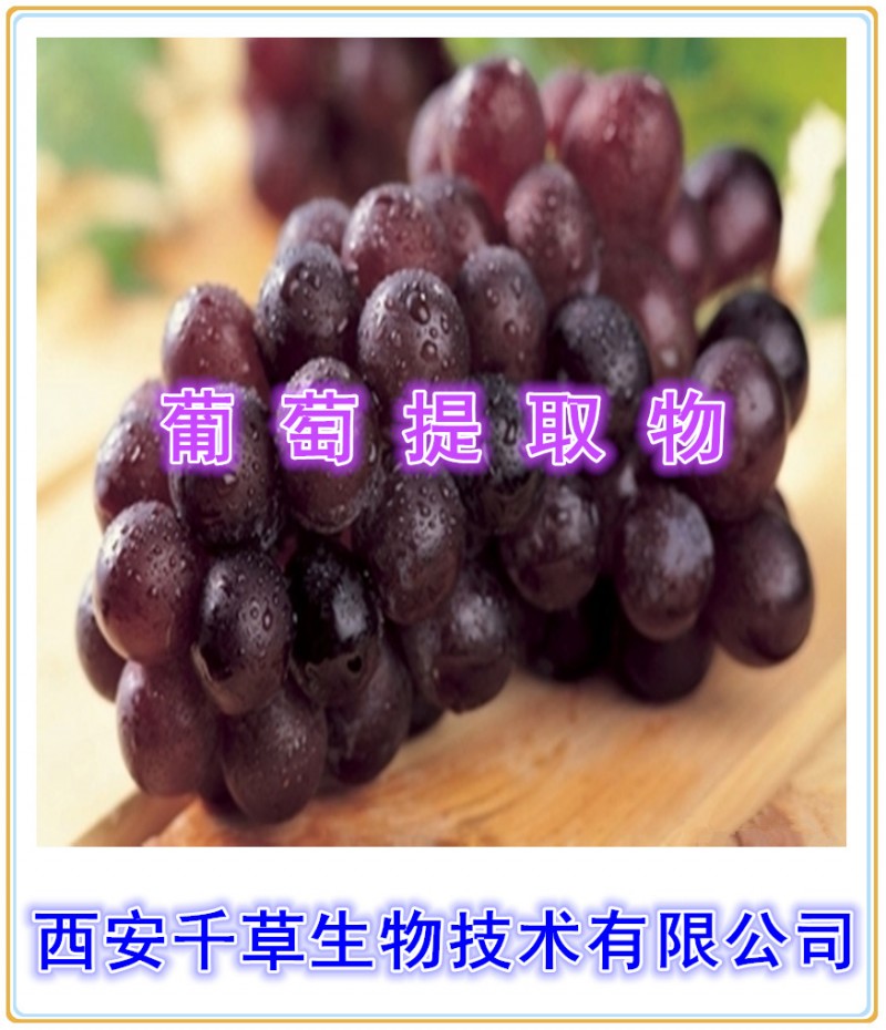 葡萄提取物