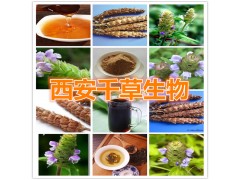 夏枯草浸膏粉