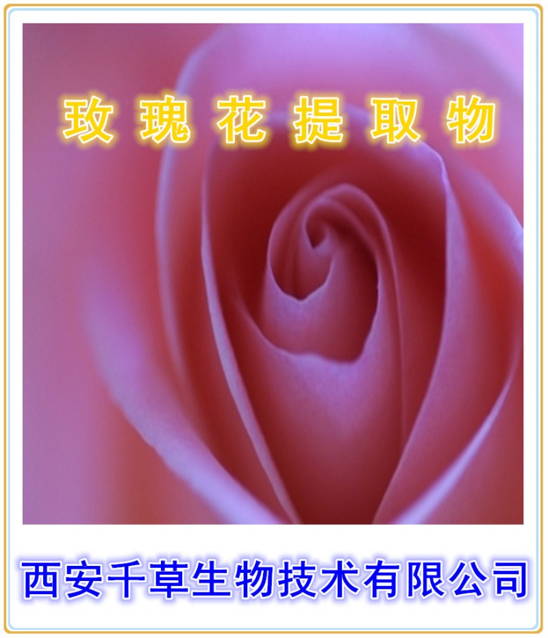 玫瑰花提取物