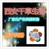 栀子速溶粉