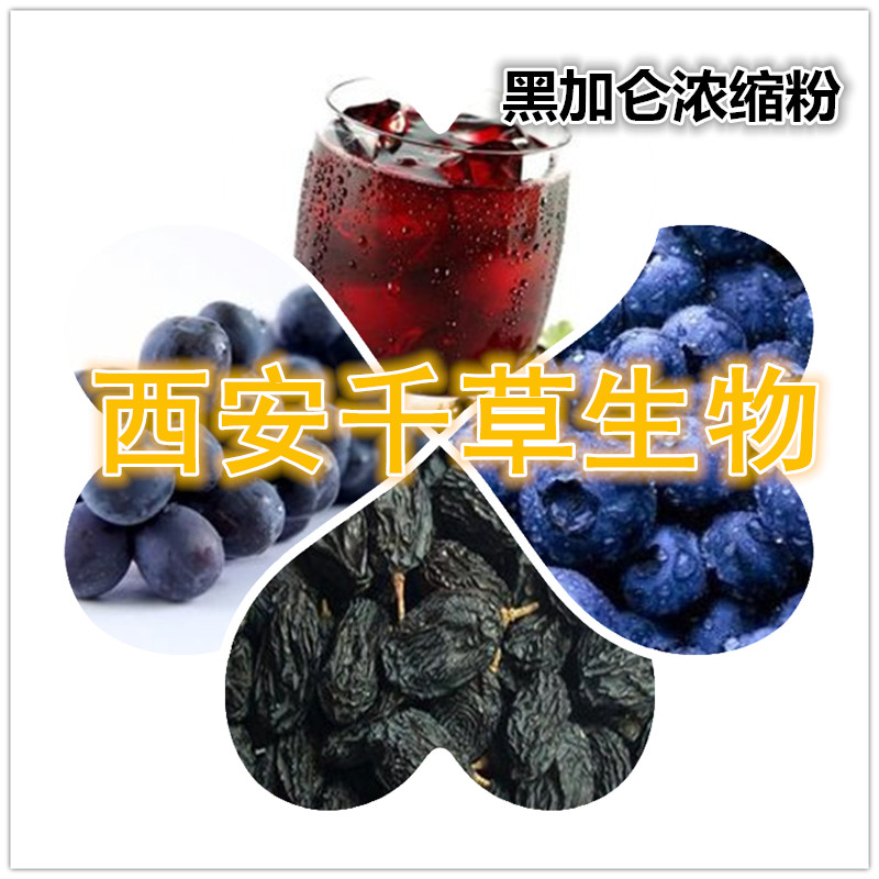 黑加仑浓缩粉