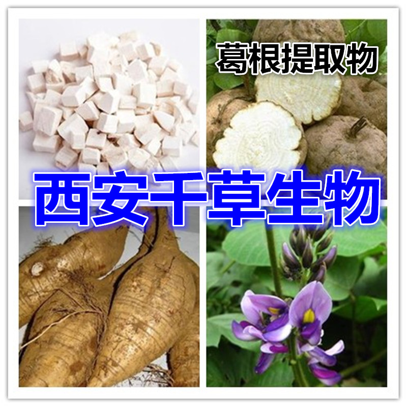 葛根提取物