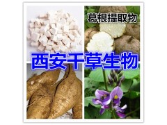 葛根提取物 葛根黄酮25%-50%