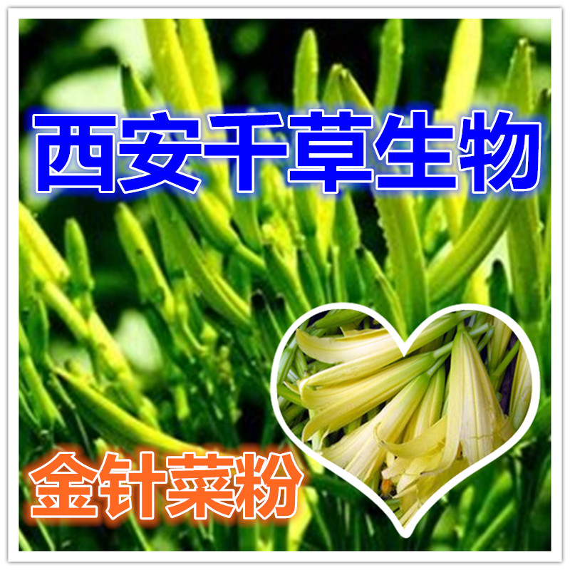 金针菜粉