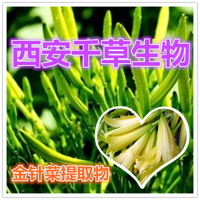 金针菜提取物