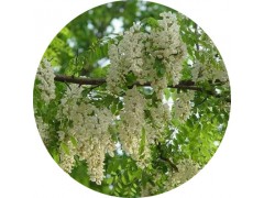 陕西慧科供应 芦丁