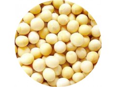 陕西慧科供应大豆甙元 98%