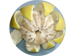 柚皮甙二氢查尔酮 98%