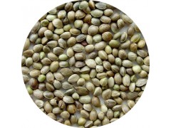 陕西慧科供应火麻仁提取物