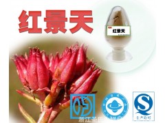 纯天然红景天提取物功效