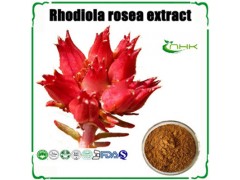 红景天提取物 红景天甙
