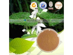 荨麻提取物 纯天然植物提取 代加工 价可询