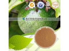 西番莲提取物 纯天然植物提取 代加工 价可询