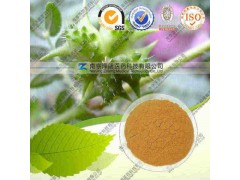 刺蒺藜提取物 纯天然植物提取 代加工 价可询