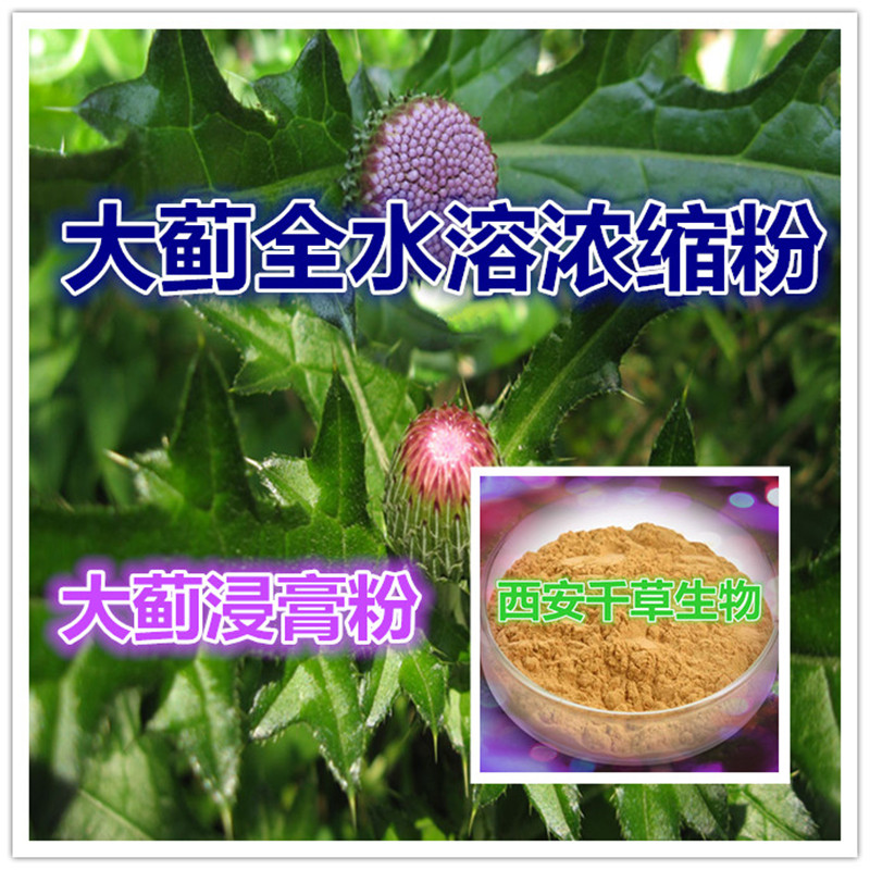 大蓟全水溶浓缩粉_副本