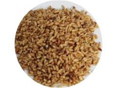 陕西慧科供应柏子仁提取物