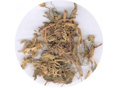 陕西慧科供应 地丁提取物