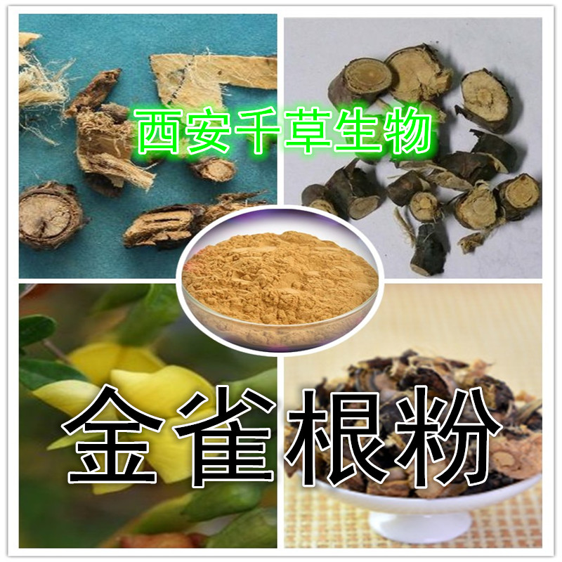 金雀根粉