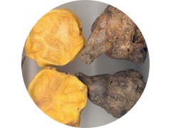 陕西慧科供应 附子提取物