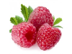 陕西慧科供应  覆盆子提取物