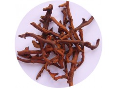 陕西慧科供应 骨碎补提取物