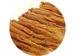 陕西慧科供应 红参提取物