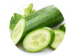 陕西慧科供应  黄瓜提取物