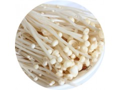 陕西慧科供应 金针菇提取物