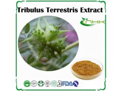 工厂供应 刺蒺藜提取物刺 蒺藜皂甙40%-90%