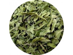 陕西慧科供应 罗布麻提取物