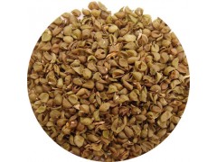 陕西慧科供应 绿豆皮提取物