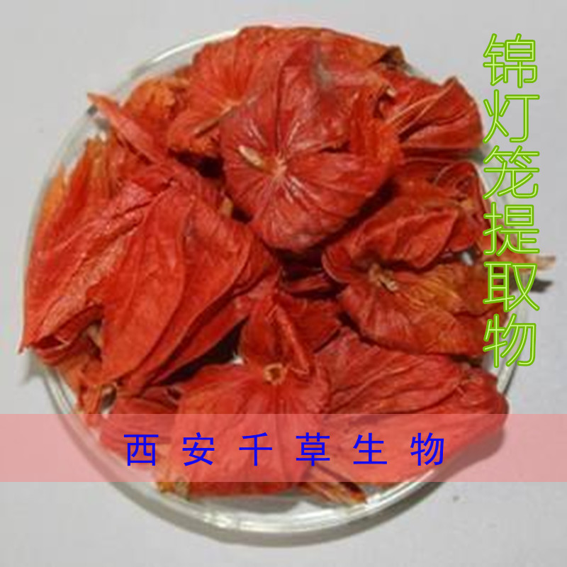 锦灯笼提取物1