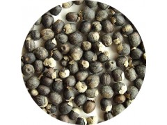 陕西慧科供应 蔓荆子提取物