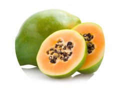 陕西慧科供应 木瓜提取物