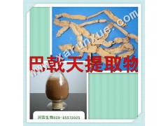 润雪生物 巴戟天浓缩粉提取物