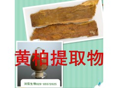 润雪生物 黄柏浓缩粉提取物