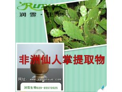 润雪生物 非洲仙人掌浓缩粉提取物