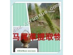 润雪生物 马尾草/狗尾草浓缩粉10：1提取物，批发五折起