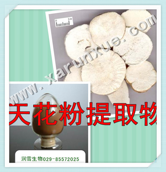 润雪生物 天花粉浓缩粉10：1提取物厂家直销