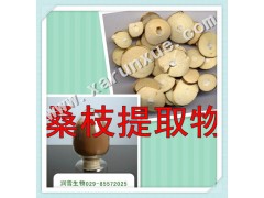 润雪生物 桑枝浓缩粉10：1提取物厂家直销