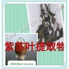 润雪生物 紫苏梗浓缩粉（10：1）提取物