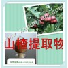 润雪生物 山楂浓缩粉/山楂黄酮＞10%提取物，批发五折起
